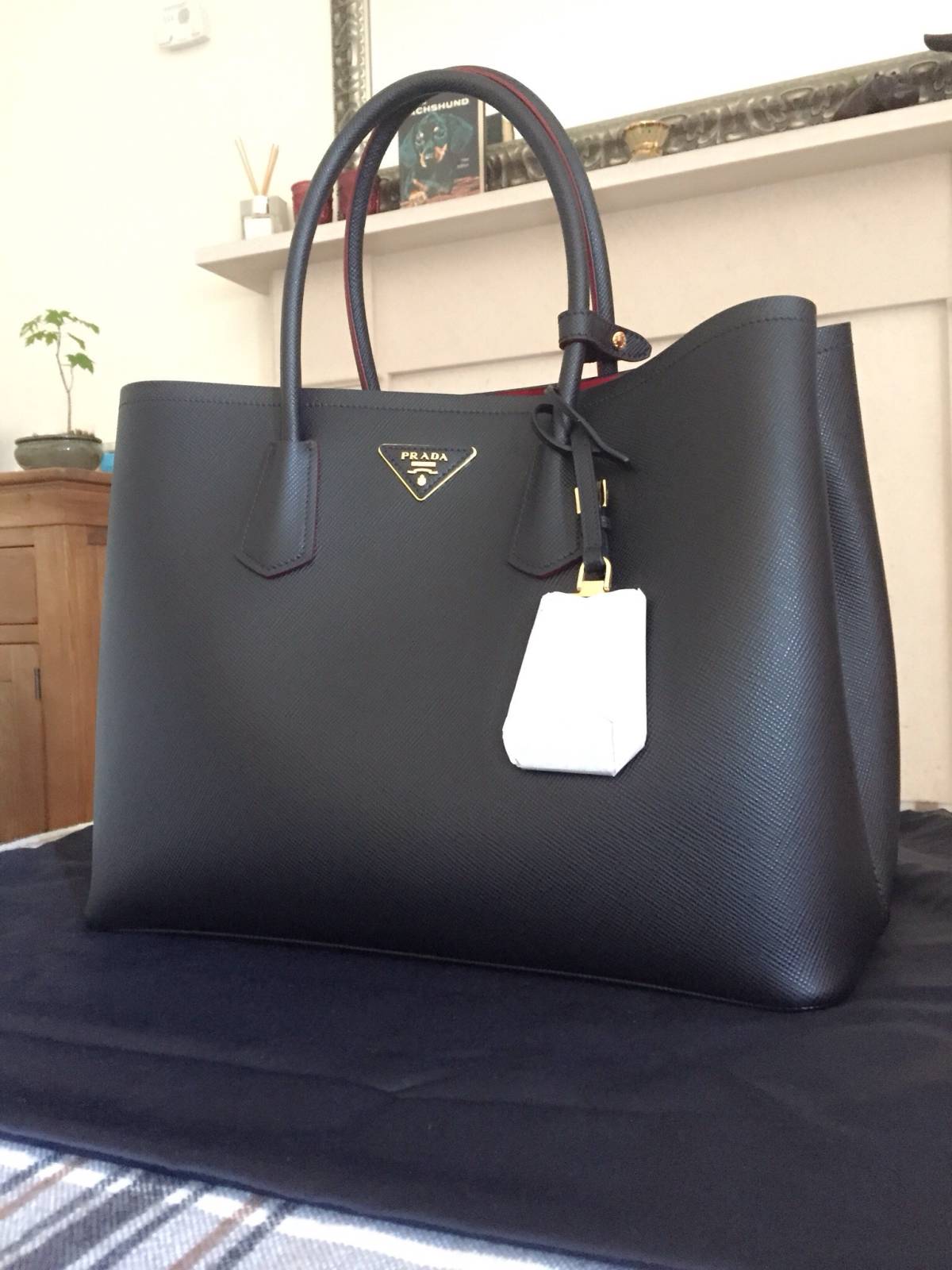 Prada Double Bag: reveal and mini review - Vikky Anna